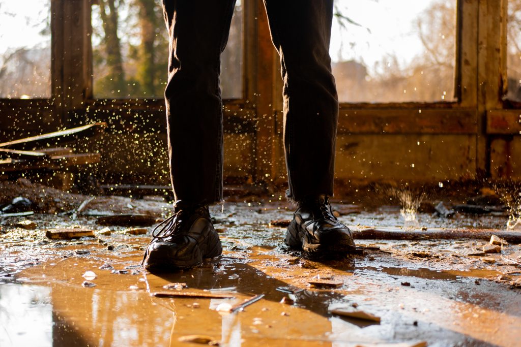 Inspection, nettoyage et élimination des moisissures causées par un dégât d’eau ou un excès d’humidité.